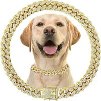 🎁 Bling Dog Chain Necklace