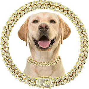 🎁 Bling Dog Chain Necklace