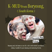Berryskin Korean Mud Mask™